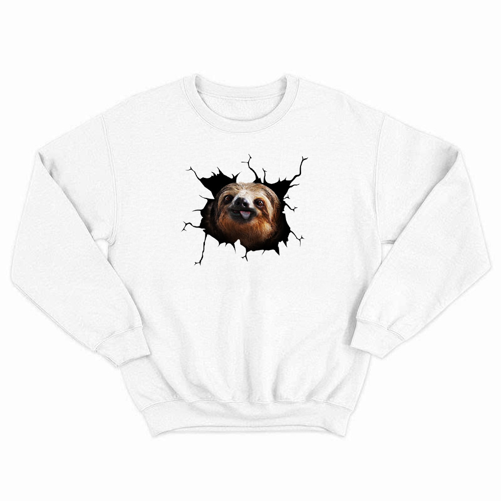 Sloth Came Out Shirt Sloth Sweatshirt Cute Graphic Unisex Gift For Brothers Idea Basgiathsweatshirts